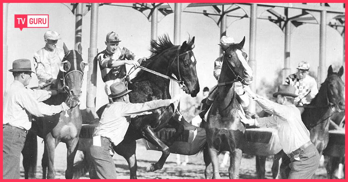 The Lady's from Kentucky | TV.GURU